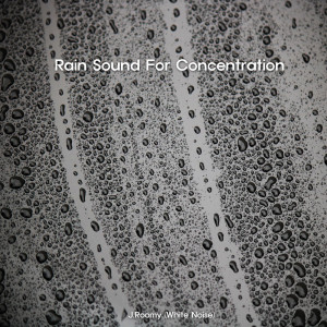 Dengarkan lagu Rain Sound For Concentration (ASMR, Nature Sound) nyanyian J.Roomy dengan lirik