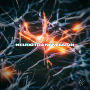 STRNGER的專輯Neurotransmission