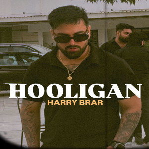 Album Hooligan from Harry Brar