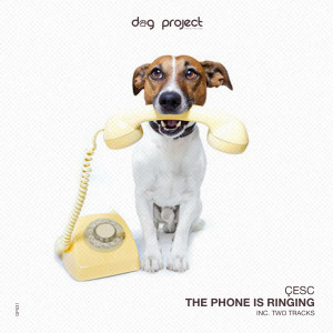 收聽çesc的The Phone Is Ringing (Original (Original Mix)歌詞歌曲