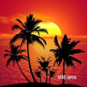 Album Afro Tropical oleh Bleuplay
