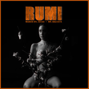 Listen to Rumi song with lyrics from Manos del mago