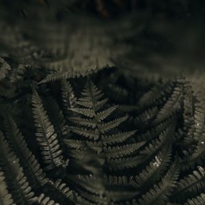 Dengarkan Sleep Music lagu dari Deep Sleep dengan lirik