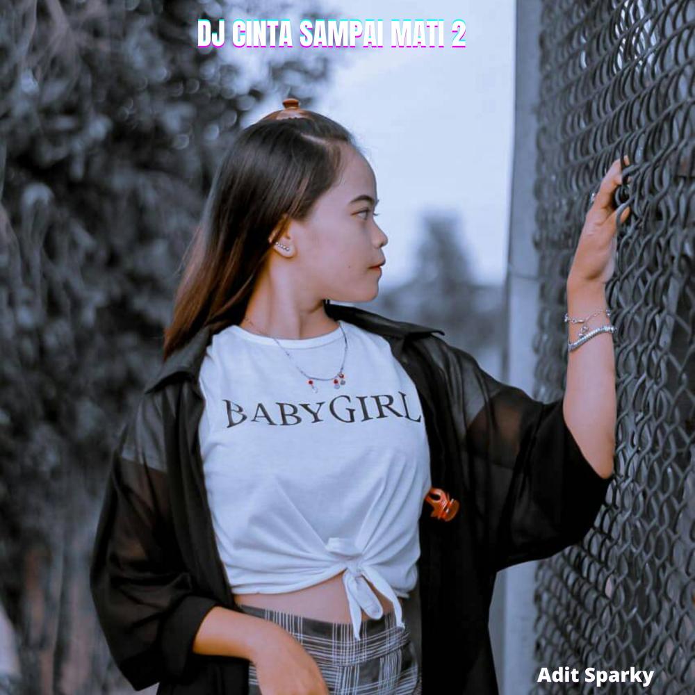 Dj Cinta Sampai mati 2