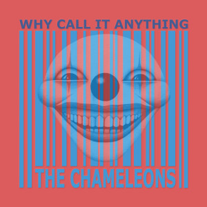 ดาวน์โหลดและฟังเพลง Are You Still There? พร้อมเนื้อเพลงจาก The Chameleons