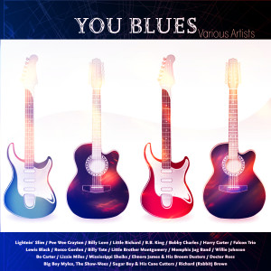 Various Artists的專輯You Blues