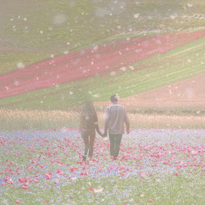 收听정민지的Story of Love歌词歌曲