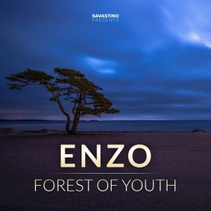 Listen to Blissful Song song with lyrics from Enzo