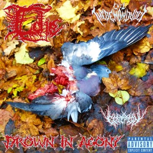 ดาวน์โหลดและฟังเพลง Drown in Agony (Explicit) พร้อมเนื้อเพลงจาก E-die