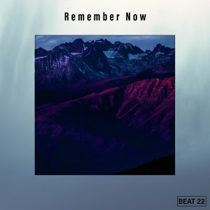 อัลบัม Remember Now Beat 22 ศิลปิน Various