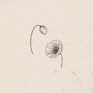 Album pen pal from Six Missing
