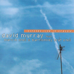 收聽David Murray的Circles歌詞歌曲