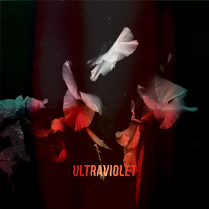 ดาวน์โหลดและฟังเพลง Ultraviolet พร้อมเนื้อเพลงจาก Bearcubs