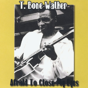 ดาวน์โหลดและฟังเพลง Please Come Back To Me พร้อมเนื้อเพลงจาก T. Bone Walker