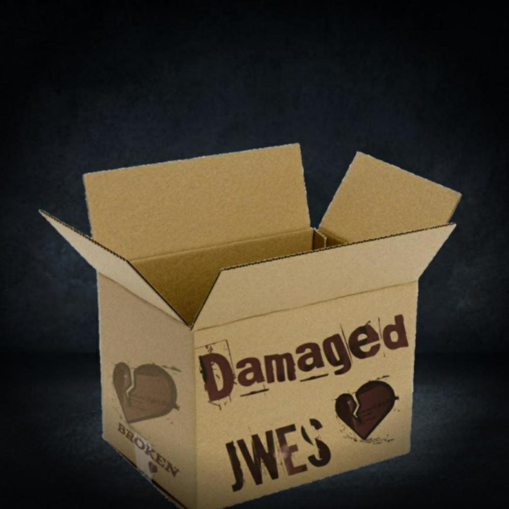 Damaged (Explicit)