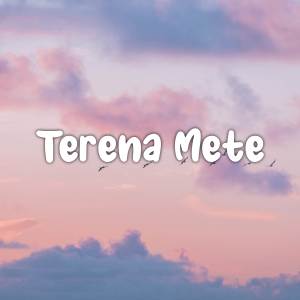 DJ Terena Mete Viral Tiktok (2023)