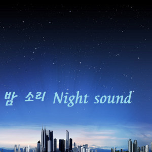 收听김세종 Kim Sejong的비오는 밤 Rainy night歌词歌曲