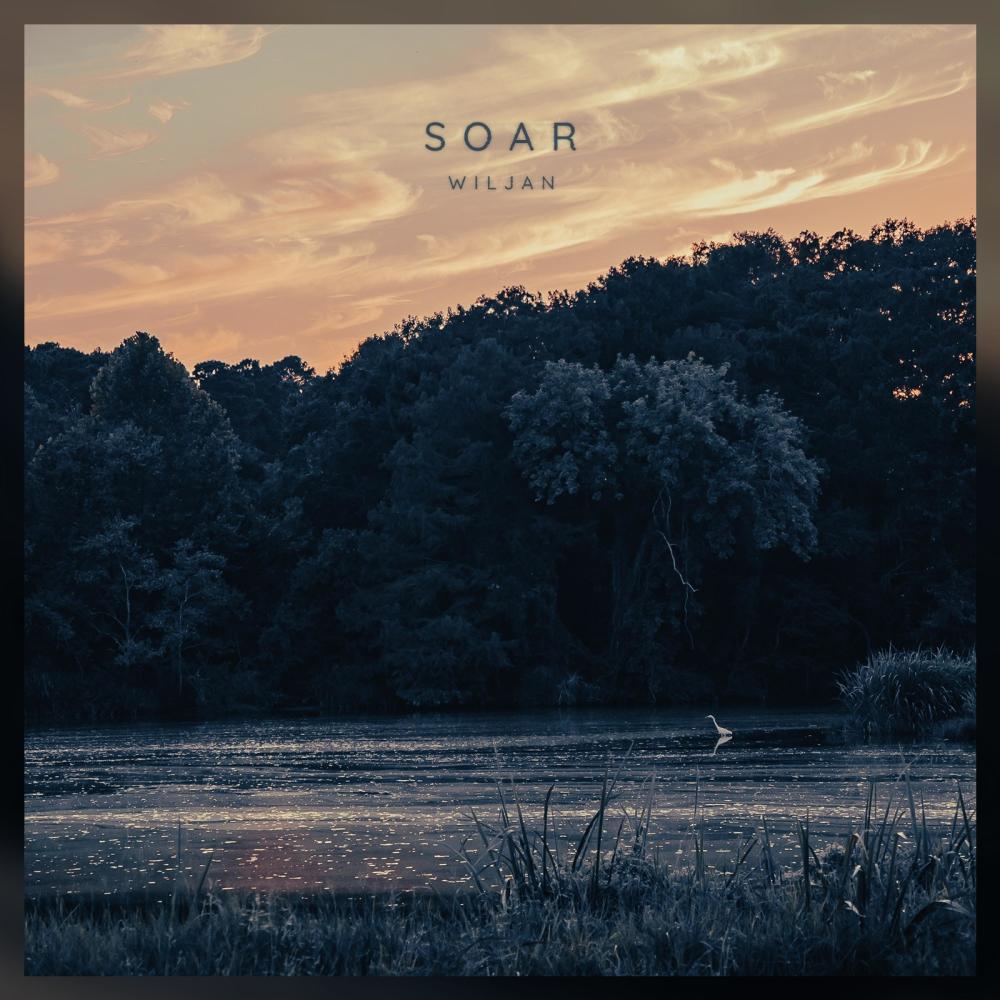 Soar