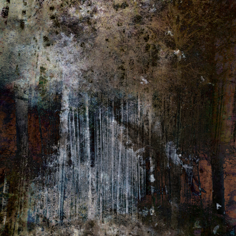 Terrain 8