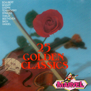 ดาวน์โหลดและฟังเพลง Symphony No. 1, 1st Movement พร้อมเนื้อเพลงจาก Viennese Orchestral Academy