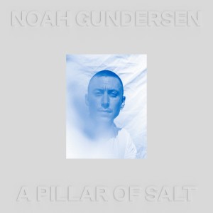 Album A Pillar of Salt (Deluxe) oleh Noah Gundersen