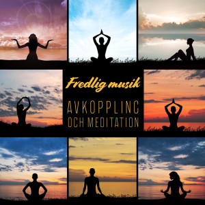 Listen to Lång massage song with lyrics from Relaxation Meditation Songs Divine