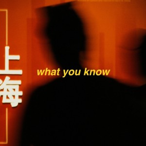 omgkirby的专辑what you know