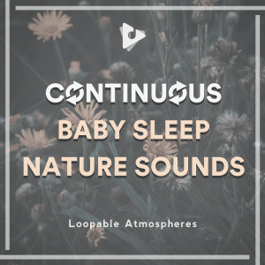 White Noise Nature Sounds Baby Sleep的專輯Continuous Baby Sleep Nature Sounds