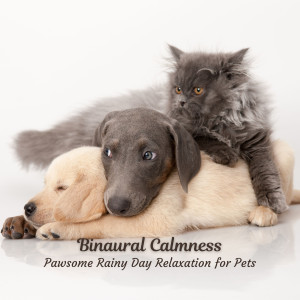 Album Binaural Calmness: Pawsome Rainy Day Relaxation for Pets oleh Binaural Shapers