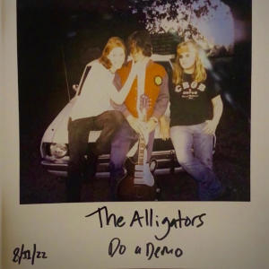 收聽The Alligators的Domino歌詞歌曲