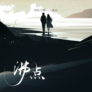 王唯一的专辑沸点