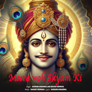 Saurabh Aggarwal的专辑Meera woh Shyam Ki