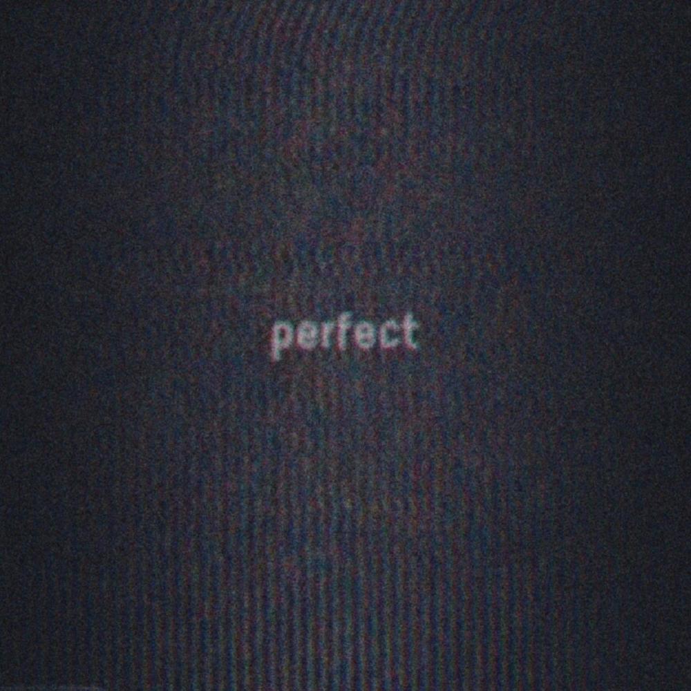 perfect (feat. Jake Buzzard) (Explicit)