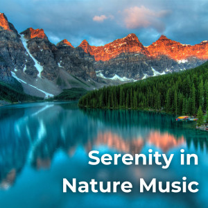 อัลบัม Serenity in Nature Music ศิลปิน Enam