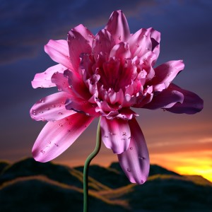 default playlist img