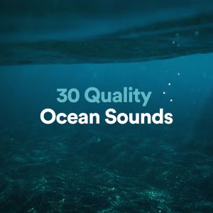 Album 30 Quality Ocean Sounds oleh Ocean Waves for Sleep