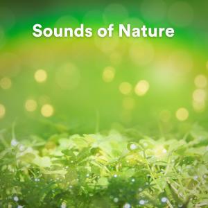 Various Artists的專輯Sounds of Nature