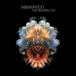 ดาวน์โหลดและฟังเพลง Sympath (The Floasis Chill Mix) พร้อมเนื้อเพลงจาก Hibernation