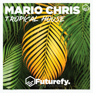 Listen to Hold On song with lyrics from Mario Chris
