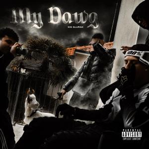 Kid Glurak的專輯MY DAWG (feat. Quame & Leous) [Explicit]