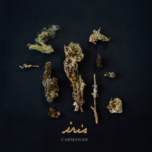 Carmanah的专辑Iris
