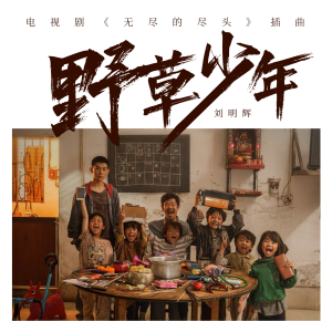 Listen to 野草少年 (伴奏) song with lyrics from 刘明辉