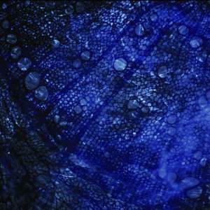 ดาวน์โหลดและฟังเพลง Scientific Emotions x Attraction พร้อมเนื้อเพลงจาก Visceral Design