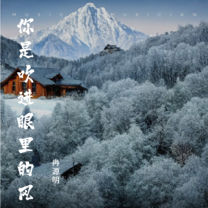 Listen to 你是吹进眼里的风 (cover: 王琪|苏潭潭|兮饭) (完整版) song with lyrics from 冉源明