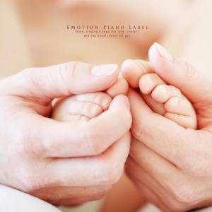 Album A collection of prehistoric music (warm-blooded piano) from Various Artists