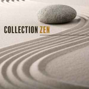 ดาวน์โหลดและฟังเพลง Identité spirituelle พร้อมเนื้อเพลงจาก Ensemble de Musique Zen Relaxante