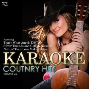 收聽Ameritz Karaoke Club的Silver Thread and Golden Needles (In the Style of Linda Ronstadt) (Karaoke Version)歌詞歌曲