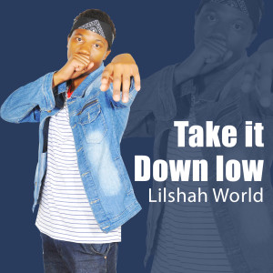 Listen to Take It Down Low song with lyrics from Lilshah World