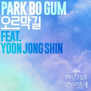 Listen to 오르막길 (Feat. 윤종신) (Uphill Road) (Inst.) song with lyrics from Park Bo Gum