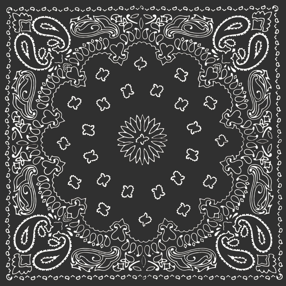 seen it all (feat. Fenix Flexin) (Explicit)